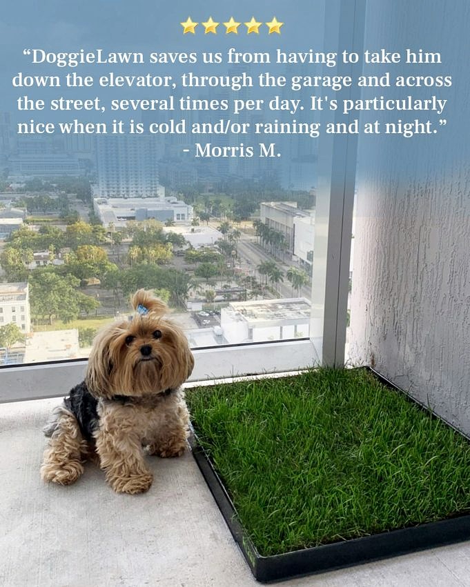 Bark Potty Bewertungen Die Besten Pet Pee Pads Für Hunde Auf Dem Balkon